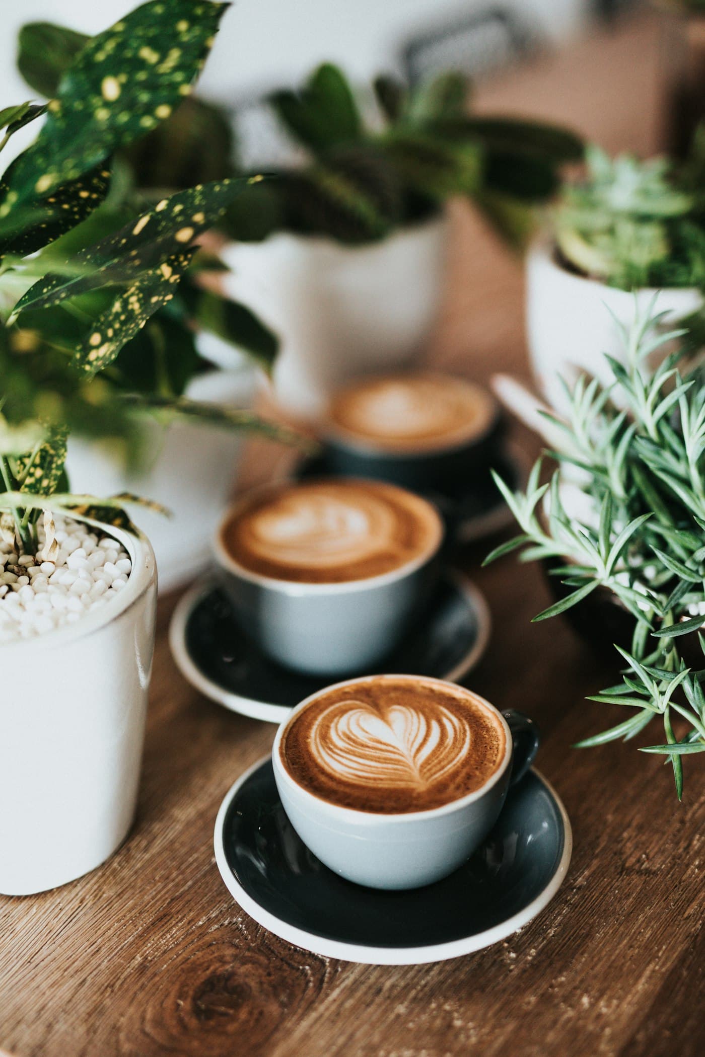 Coffee brewing workspace